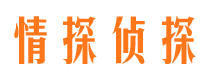 巴东市调查公司